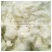 All Types of 100 % Cotton Textile Waste thumbnail-1