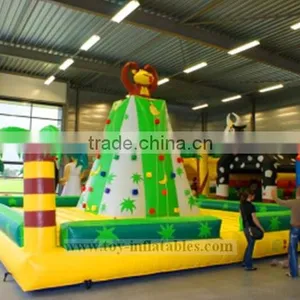 Top Quality Professional Inflatable Climb in Ball thumbnail-1