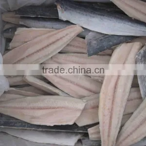 Spanish Mackerel Fillet thumbnail-1
