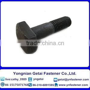 T Shape Bolts for Slot, DIN933/931 H.D.G / Galvanized With Black /yellow Zinc Plated/blue White thumbnail-4