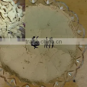 Factory Supply Hot Sale Ginger Extract Powder thumbnail-1