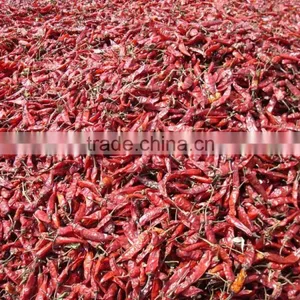 Indian Chilli for Sale thumbnail-6