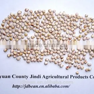 White Sorghum With Good Quality New Corp thumbnail-4