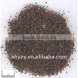 Plantain Seed thumbnail-1