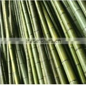 Nature Dried Bamboo Pole Diameter 2-10cm Height 6m for Sale thumbnail-2