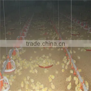 Automatic Broiler Chicken Farm Equipment For Poultry Shed thumbnail-2