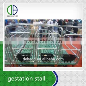 Pig Gestation Stall Good Quality For Pig Stall thumbnail-1