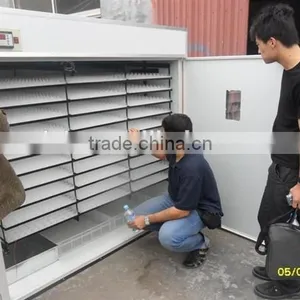Supply Factory 10 Yeas Use Solar Light for Camp thumbnail-3