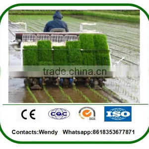 New Model Agriculture Tool Machine 6 Row Rice Transplanter Price for Sale thumbnail-4