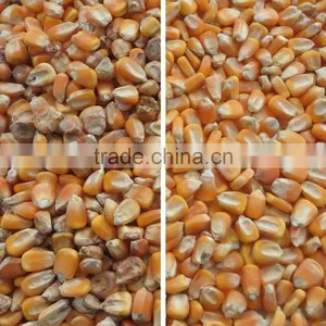 2T/H Full Color CCD Camera Grain Color Sorter With Good Performance thumbnail-5