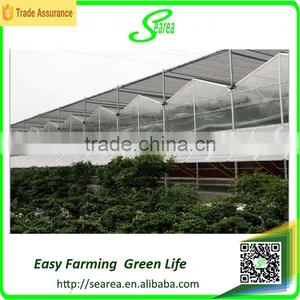 Mist Greenhouse for Sales thumbnail-1