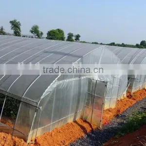 2016 New Design Greenhouses for Roses thumbnail-3