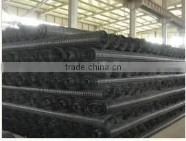 Plastic Geogrid(factory) thumbnail-1