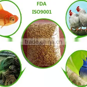Aquarium Fish Food / Ornamental Fish Food,Dried Mealworms Fish Feed thumbnail-1