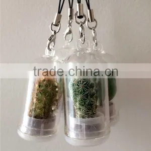 Creative Mini Plant Keychain, Glass Potted Meaty Cactus Plant Design Personality Decorative Keychain Micro Mini Gift Keychain thumbnail-1
