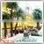 Factory Wholesale 16ft Palm Tree Lamp Outdoor for Decorative thumbnail-2