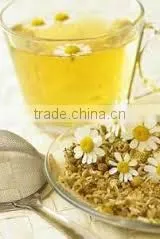 Pure Chamomile Oil thumbnail-1