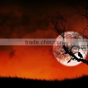 Poster (factory Price, Good Quality, Timely Delivery) thumbnail-1