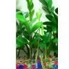 Aqua Beads|Crystal Soil thumbnail-1