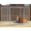 Animal Exercise Pen thumbnail-1