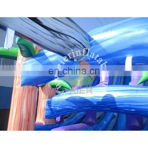 Aier Giant Inflatable Water Slide, Large 2 Lanes Inflatable Water Slide thumbnail-3
