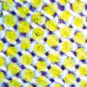 Iron-free Interlining, Shirt Interlining, Woven, Cotton thumbnail-3