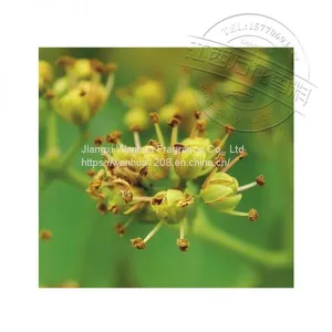 Wholesale of High Quality Huangbai Fruit Oil Factory thumbnail-2