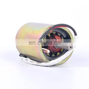 12V 200W Chinese Factory High Quality Low Voltage Permanent Magnet Motor ZDY1256 thumbnail-2