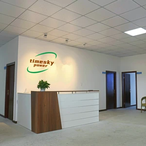 Shenzhen Timesky Power Co., Ltd company overview - view 3 thumbnail