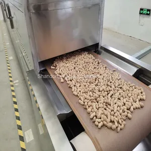Electricity Continuous Nuts Roasting Line, Conveyor Belt Type Microwave Nut Roaster Machine thumbnail-5