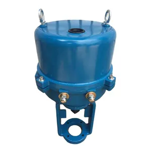 Bernard Electronic Electric Actuator 381LSA-08 Linear Electric Control Valve 381LXA-08 381LSA-20 381LXA-200 thumbnail-2