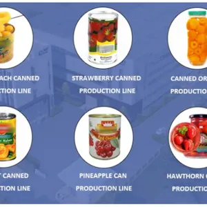 Good Quality Orange Can Canning Canned Fruit Processing Production Line Genyond thumbnail-2