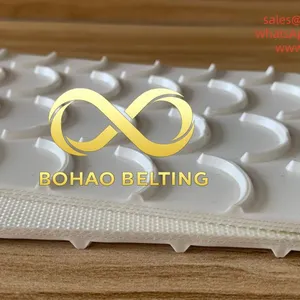 White Crescent Pattern PVC Conveyor Belt Manufacturer thumbnail-1
