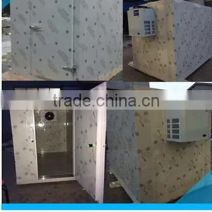 Small Cold Room With Drop in Refrigeration Unit thumbnail-1