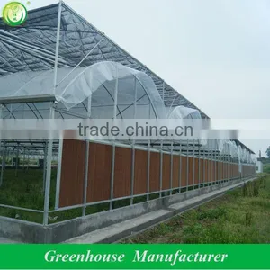 Agricultural Greenhouses for Tomato thumbnail-1