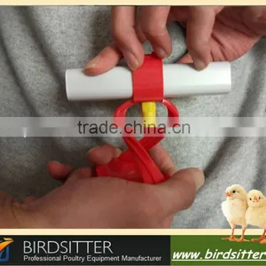 BIRDSITTER Modern Uae Chicken Farm Poultry Broiler Chicken Machine thumbnail-4