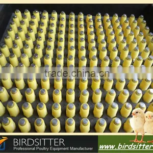 Birdsitter Wholesale Automatic Chicken Farming Squre Nipple Dosatron Water Filter System thumbnail-6