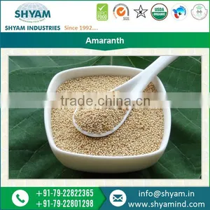 High Grade Amaranth Seeds for Multinational Bakery Products thumbnail-1