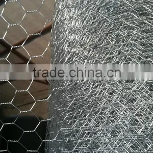 1/4 Inch Galvanized Chicken Wire Mesh thumbnail-1