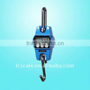 Portable Crane Scale thumbnail-1
