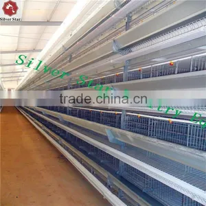 Chicken Layer Cage Used Automatic Layer Poultry Equipment thumbnail-3
