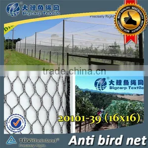 (20 Years Factory) Hot Selling ,2013 New Arrival, Low Cost White Vine Netting on Grapes , 39 GSM / 20101-39 thumbnail-1