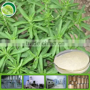 GMP Factory Stevia Extract Powder thumbnail-1