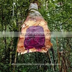 Rosewood Oil - BD Rose (Aniba Roseodora) thumbnail-1