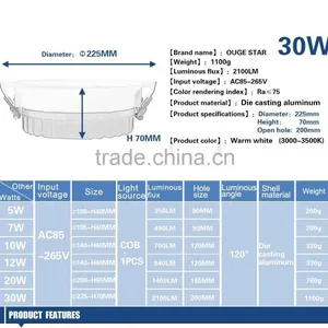 5w 7w 10w 15w 18w 30w Cold White Cob Led Recessed Downlight thumbnail-3