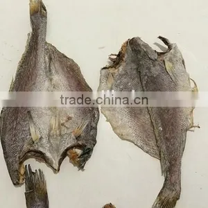 New Wholesale Dried Brown Croaker Fish thumbnail-1