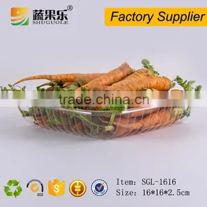 Disposable Plastic Clear Fruit Food Tray thumbnail-1