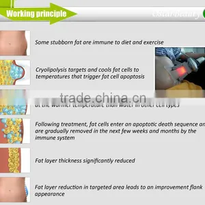 (4 CRYO Handles) Fat Freeze Liposuction Cryolipolysis Equipment thumbnail-6