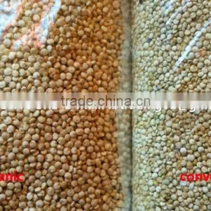 Organic White Quinoa thumbnail-5