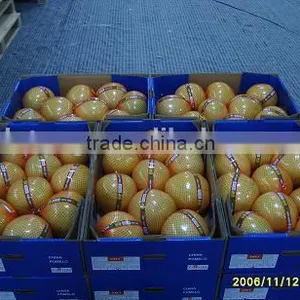 Export Fresh Pomelo From China for Honey Pomelo Importer thumbnail-5